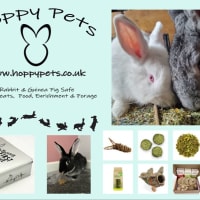 Hoppy Pets Ltd, Salisbury | Pet Shops - Yell