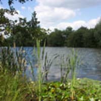 Billericay & District Angling Club, Wickford 