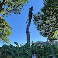 Image 27 of Tree Wise Men (NE) Ltd