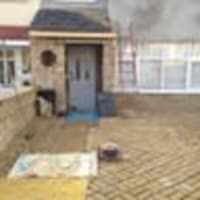 Image 16 of Special Branch Tree & Stump Removal