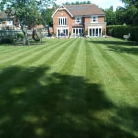 british lawns