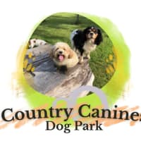 Country Canines Dog Park, Barnard Castle | Dog Walking - Yell