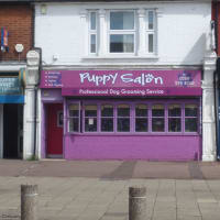 puppy salon
