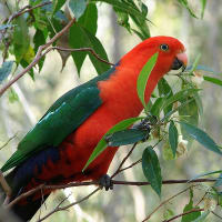 discount pet warehouse