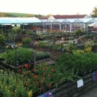 Manorbier Garden Centre, Tenby | Garden Centres - Yell