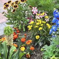 Image 63 of House & Home Sitters Ltd