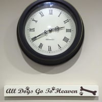 groomingdales by netty