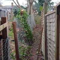 Image 49 of Trees R Us