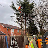 Image 32 of Tree Wise Men (NE) Ltd