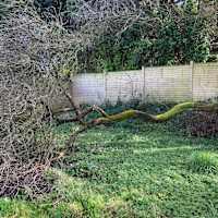 Image 18 of Odd Job Eddy