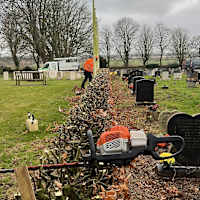 Image 29 of Tree Wise Men (NE) Ltd