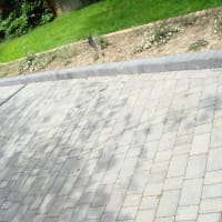 Tumbled pavers, with edging kerbs