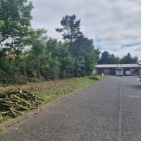 Image 44 of Tree Wise Men (NE) Ltd