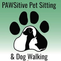 Pawsitive walks hot sale