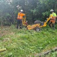 Image 42 of Tree Wise Men (NE) Ltd