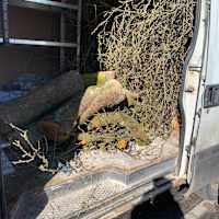 Image 19 of Odd Job Eddy