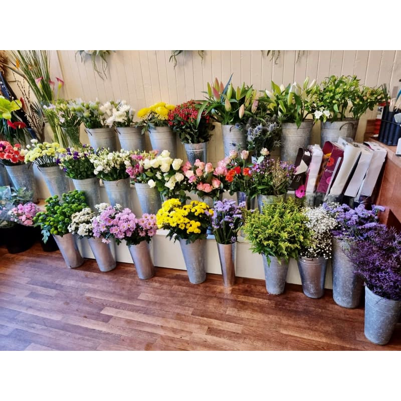 Flowers Clarkston Road Best Flower Site