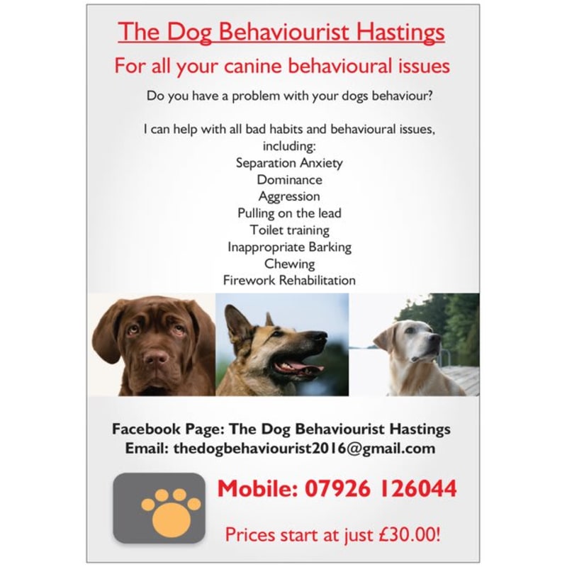 Dog behaviorist in cheap my area