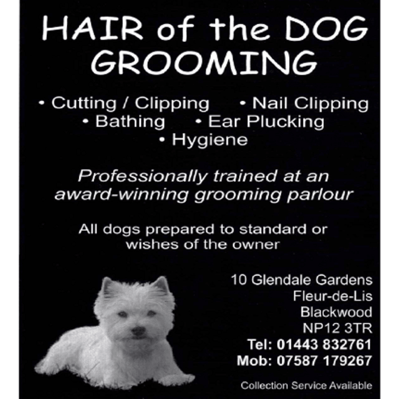 hair of the dog grooming