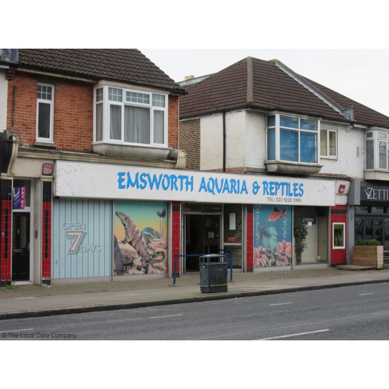 Emsworth sales reptile shop