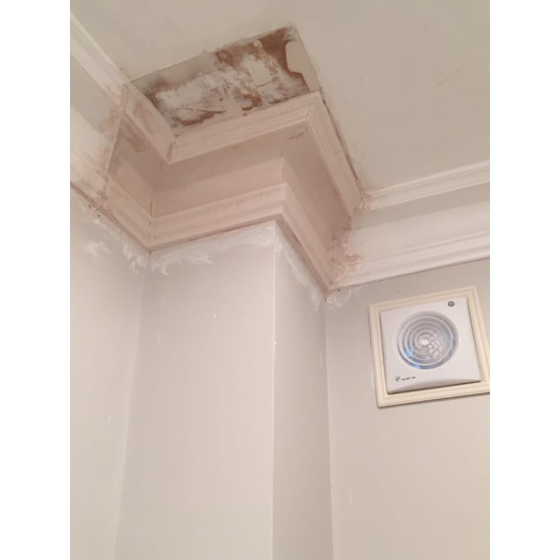 The London Cornice Company London Ceiling Contractors Yell