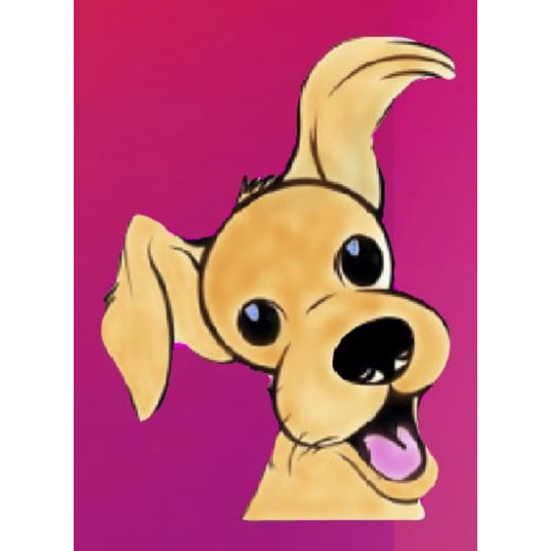 dogs unleashed inverurie dog walking yell dogs unleashed inverurie dog walking yell