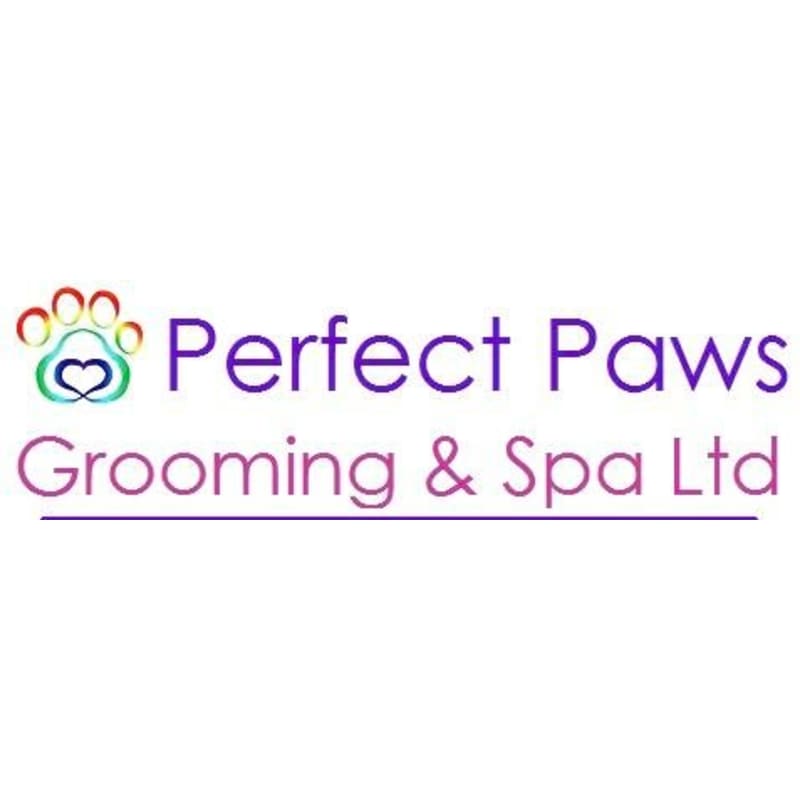 Perfect paws deals pet spa