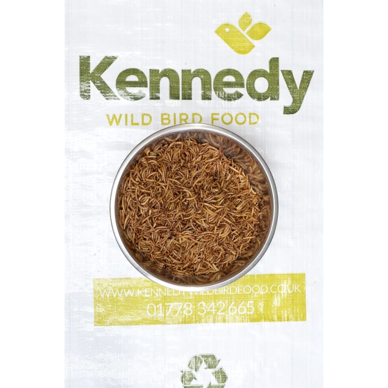 anne kennedy wild bird food