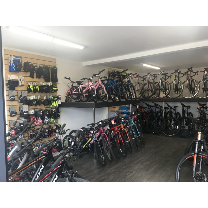 waltham chase cycles