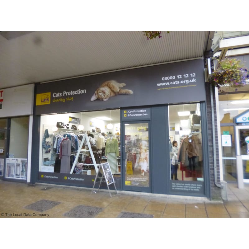 cats protection shops