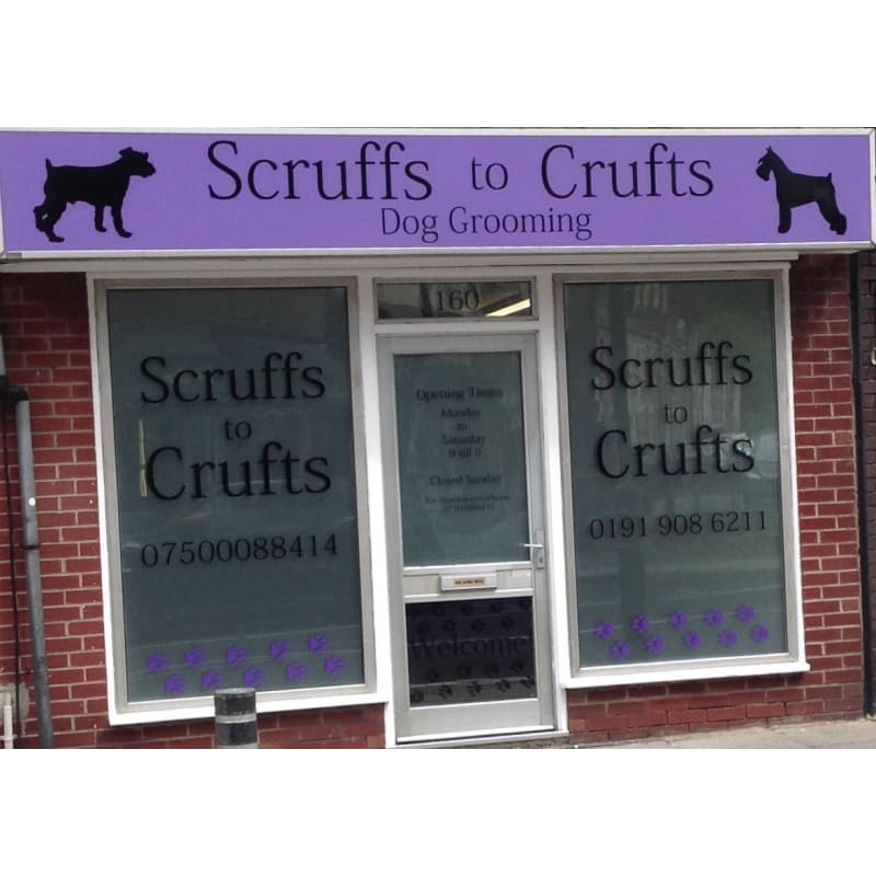 scruffs to crufts