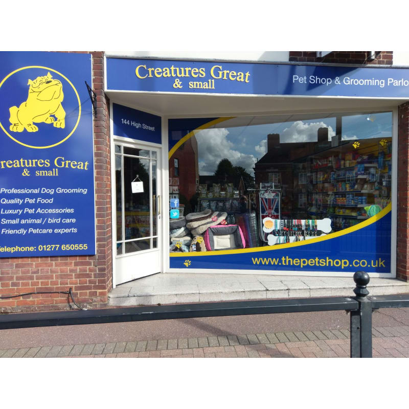 creatures pet shop