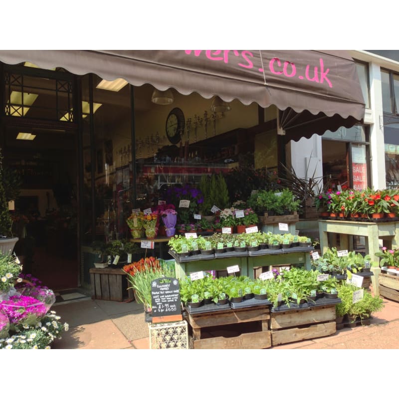 The Grand Flowers Eastbourne Best Flower Site