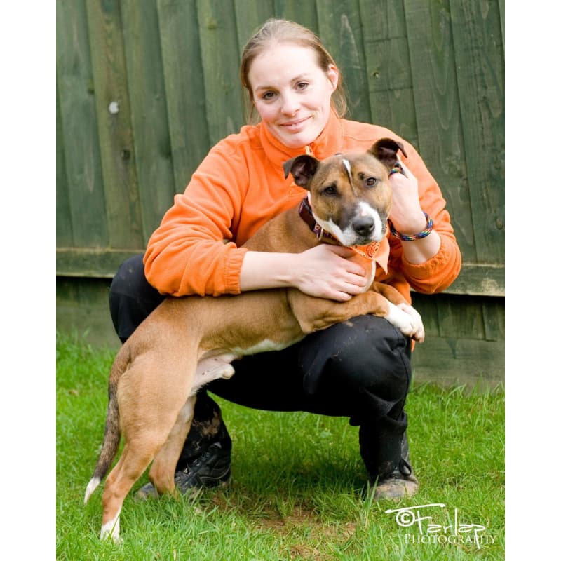 gables dogs for rehoming