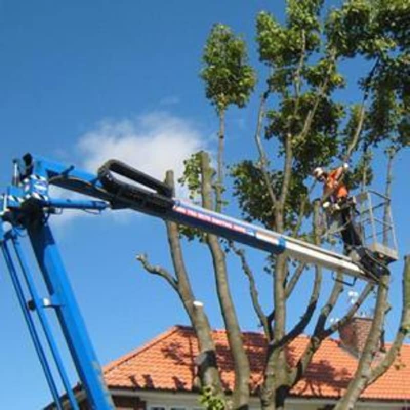 Gibson Tree Care