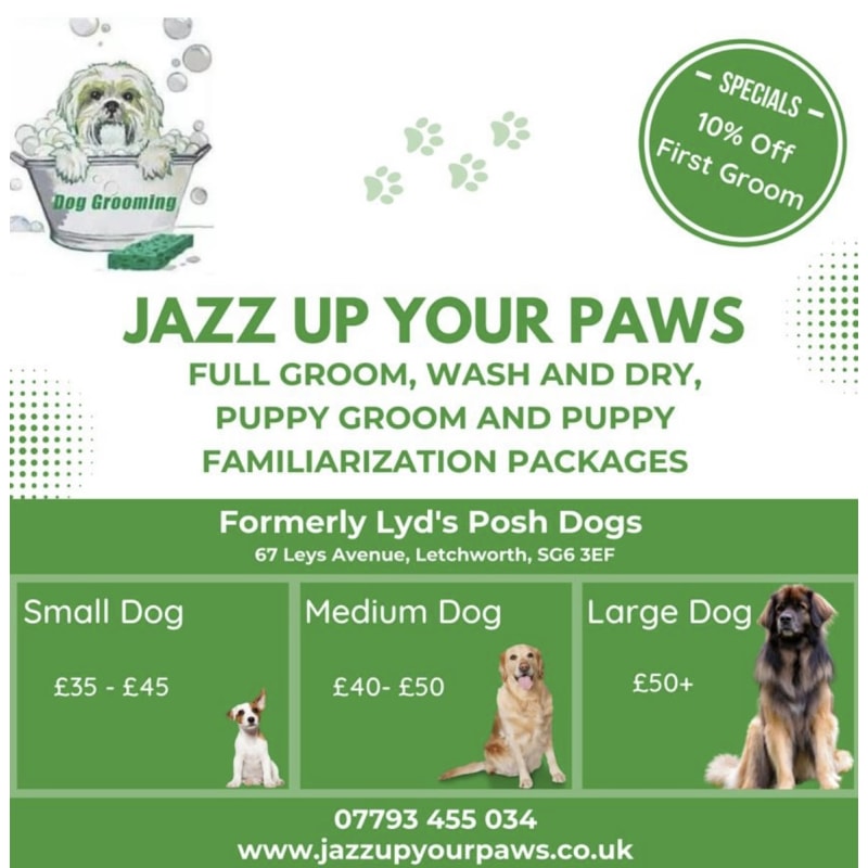 Jazz Up Your Paws Letchworth Garden City Dog Cat Grooming Yell