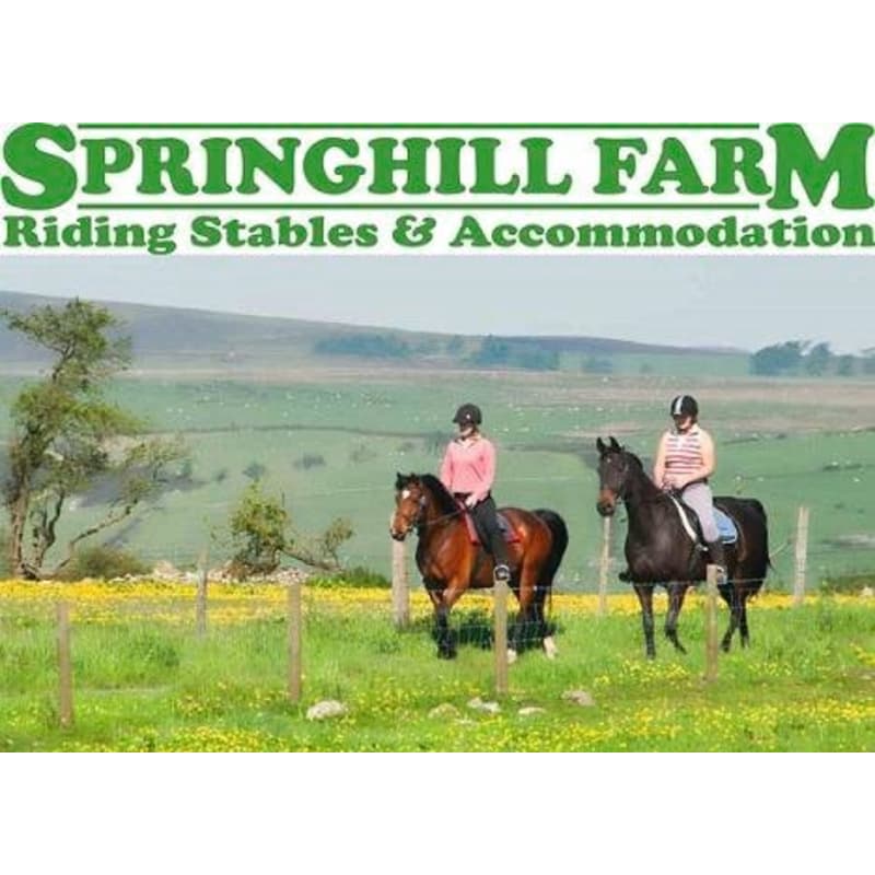 Springhill Farm Riding Stable Oswestry Riding Schools Yell