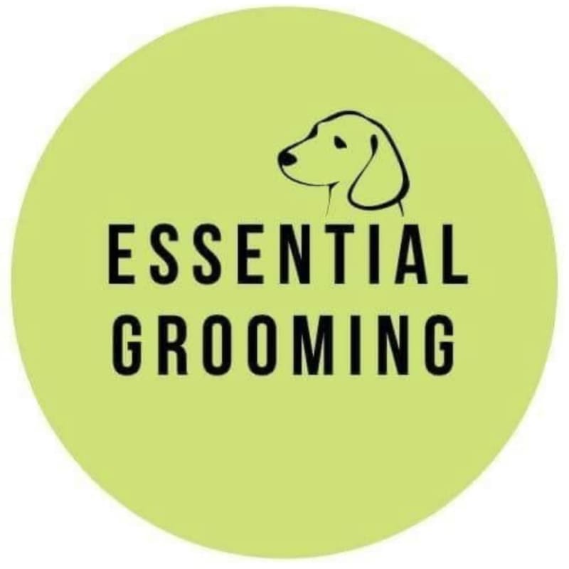 Essential 2024 pet grooming