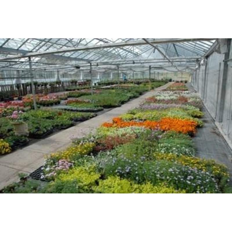 Hopwood Garden Centre Birmingham Garden Centres Yell