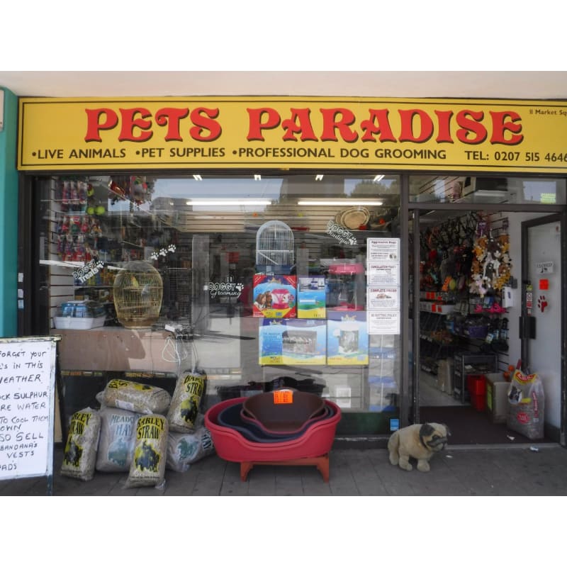 Pets Paradise London Pet Shops Yell