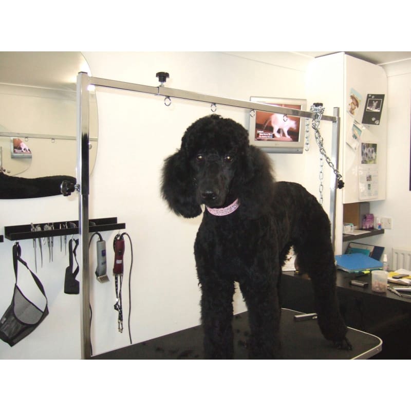 pedigree cuts dog grooming blackhall