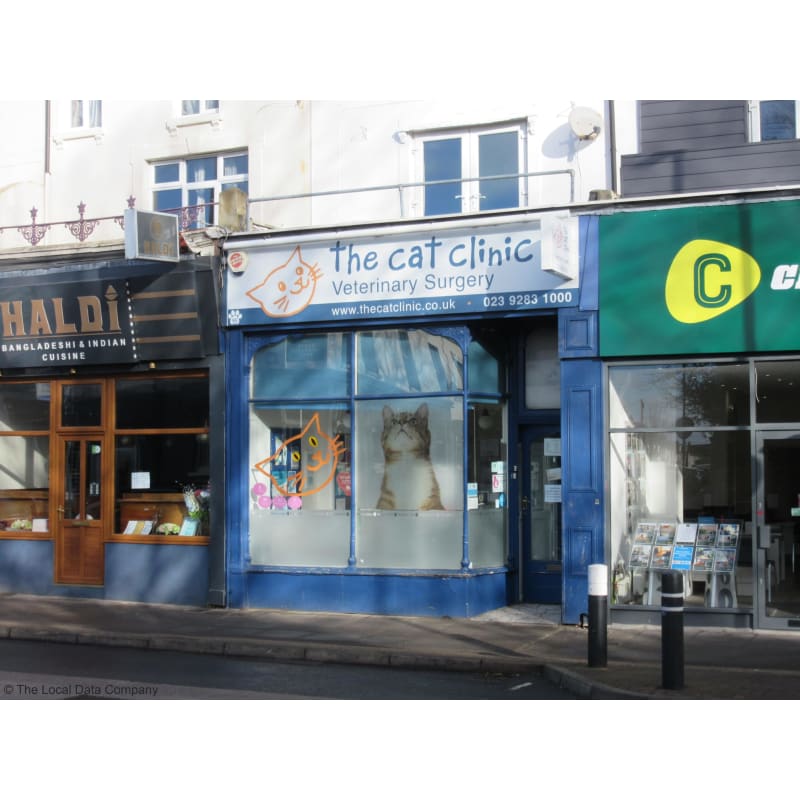 Cat cheap clinic southsea