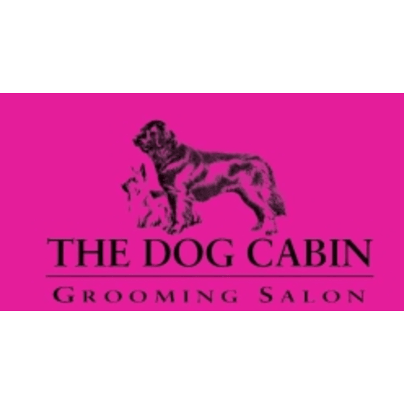 The Dog Cabin Within Cabin Equestrian Centre Inverurie Dog