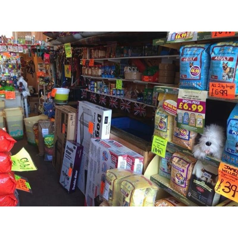 Cricket Inn Road Pet Supplies Clearance time2code.today