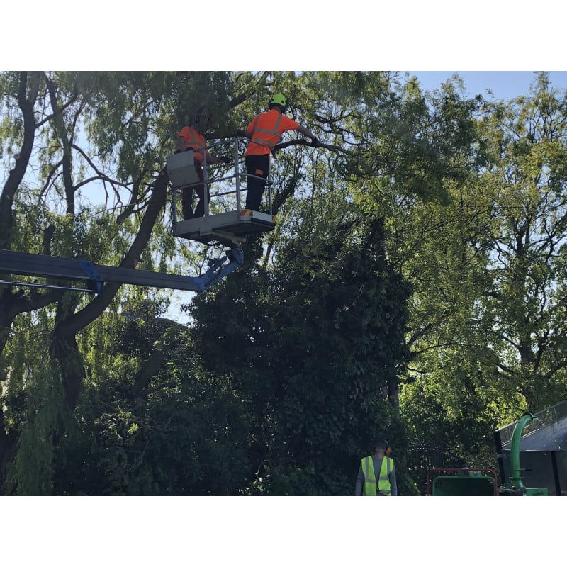 Oakwood Tree Surgeon Garden Services Grimsby Tree Surgeons Yell