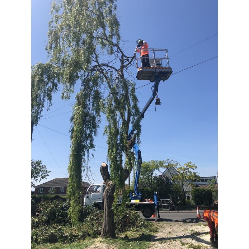 Oakwood Tree Surgeon Garden Services Grimsby Tree Surgeons Yell