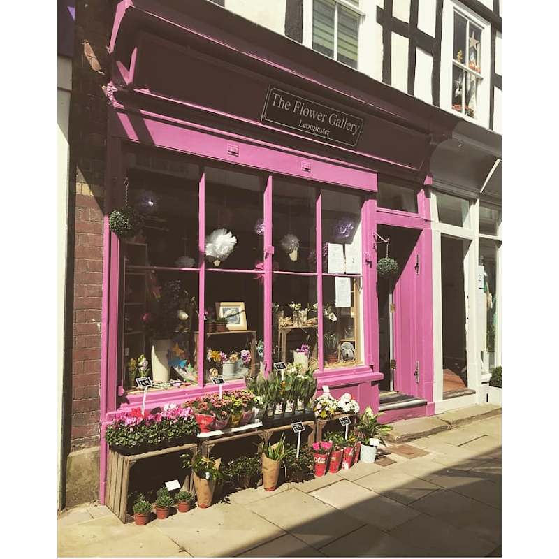 Flowers In Leominster Ma Best Flower Site