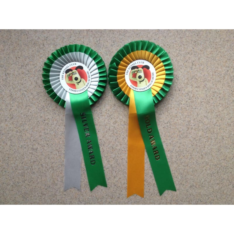 Kennel Club Good Citizens Bronze, Silver And Gold All Levels Of The
