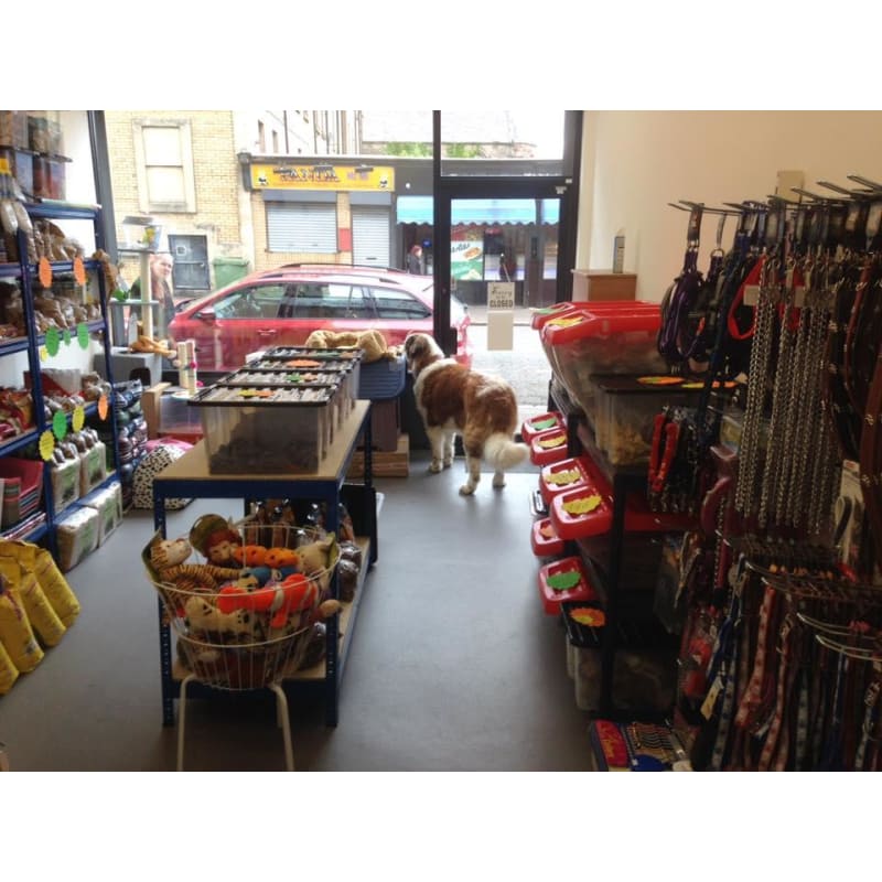 GD Pet Supplies Greenock Pet Supplies Yell