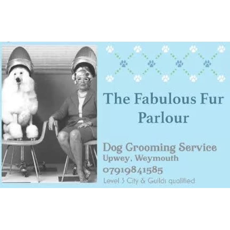 Fabulous fur hot sale grooming